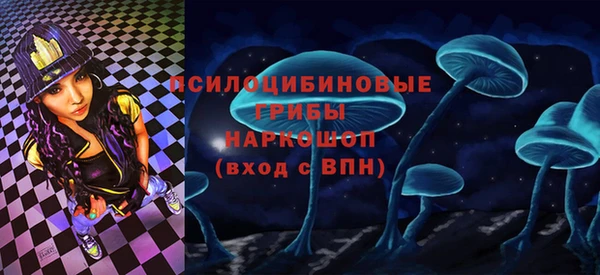МДПВ Новозыбков