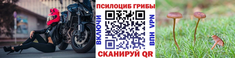 Псилоцибиновые грибы Psilocybe  OMG онион  даркнет формула  купить наркоту  Невельск 